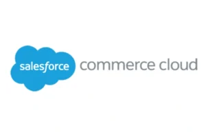 Salesforce commerce cloud customization 